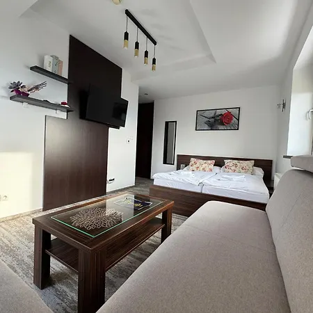 Panorama 1001 Apartament *