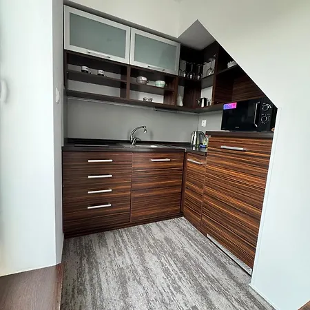 Apartmán Panorama 1001 *